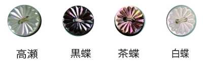 266 2-hole Rimless Shell Button