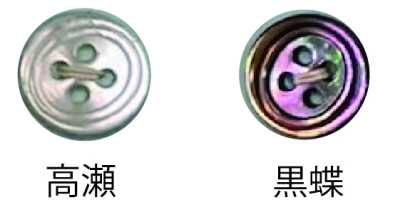 3500 4-hole Rimmed Shell Button