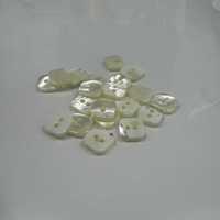 493 2-hole Borderless Shell Button Tomoi Sub Photo
