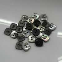 493 2-hole Borderless Shell Button Tomoi Sub Photo
