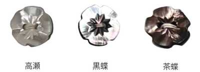 500 2-Hole Plum Blossom Shell Button