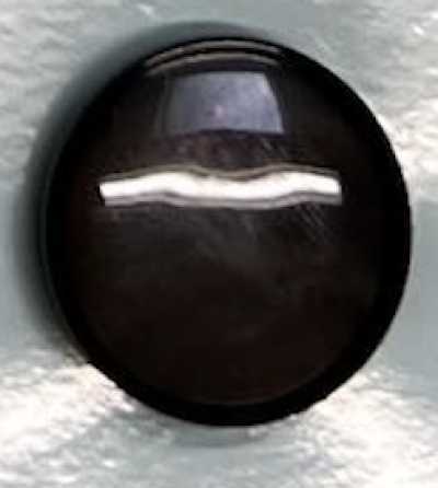 5660 Rimmed Black Shell Button