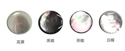 601P Poly Shank Shell Button