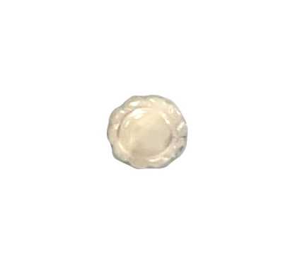610 Round Rimmed Shell Button