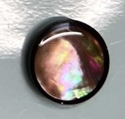 6660 Rimmed Brown Shell Button