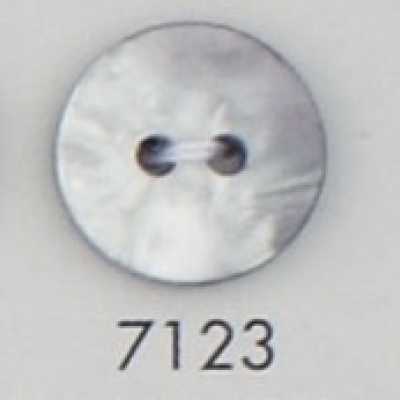 7123 Two-hole Button Made Of Polyester Resin