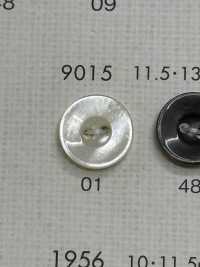 9015 DAIYA BUTTONS Shell-like Polyester Button DAIYA BUTTON(DAIYA BUTTON) Sub Photo