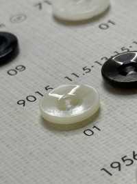 9015 DAIYA BUTTONS Shell-like Polyester Button DAIYA BUTTON(DAIYA BUTTON) Sub Photo