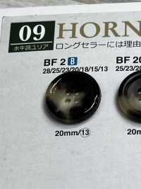 BF2 Buffalo-like Button IRIS Sub Photo