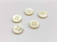 ES111 DAIYA BUTTONS Ikari Shell Like Polyester Button DAIYA BUTTON Sub Photo