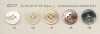 ES177 DAIYA BUTTONS Shell-like Polyester Button