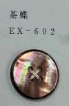 EX602 4 Holes, Shell Button