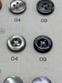 FM302 DAIYA BUTTONS Shell-like Polyester Button DAIYA BUTTON(DAIYA BUTTON) Sub Photo
