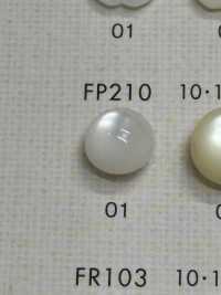 FP210 DAIYA BUTTONS Shell-like Polyester Button (Hemisphere) DAIYA BUTTON(DAIYA BUTTON) Sub Photo
