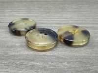 HBF590 Real Buffalo Horn Horn, 4-hole Button IRIS Sub Photo