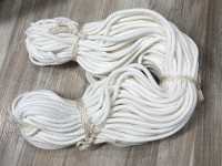 HC-1010 Cotton Flat Cord[Ribbon Tape Cord] Sub Photo