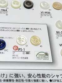 IPS1 Shell Button IRIS Sub Photo