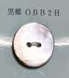 OBB2H 2 Holes, Borderless, Shell Button