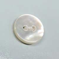 PH104 Two Hole Flat Shell Button Sakamoto Saji Shoten Sub Photo