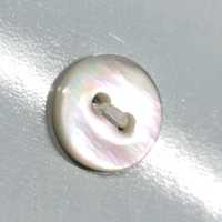 PH105 Two Hole Round Shell Button Sakamoto Saji Shoten Sub Photo