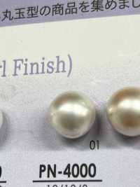 PN4000 Pearl-like Button Tunnel Hole (Lead-free Pearl) IRIS Sub Photo