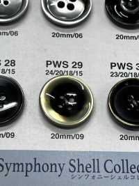 PWS29 Shell Button IRIS Sub Photo