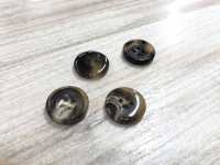 REAL-B Buffalo Glossy 4-hole Horn Button Koutoku Button Sub Photo