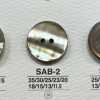 SAB2 Natural Material Shell 2-Hole Glossy Button