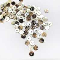 SAK1 Natural Material 2 Shell Shell Shell Button IRIS Sub Photo