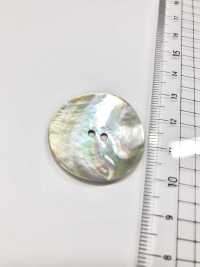SAK1 Natural Material 2 Shell Shell Shell Button IRIS Sub Photo