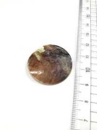 SAK1 Natural Material 2 Shell Shell Shell Button IRIS Sub Photo