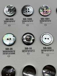 SB16 Shell Button IRIS Sub Photo