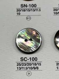 SC100 Natural Material Shell 2 Holes Glossy Button IRIS Sub Photo