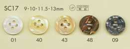 SC17 DAIYA BUTTONS Impact-resistant Hyper Durable " Shell-like Polyester Buttons" Series
