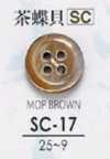 SC17 Shell Button- Mother Of Pearl Shell-