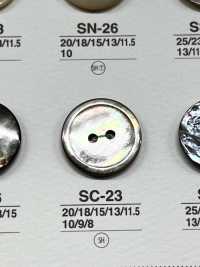 SC23 Made Of Natural Shell, 2 Holes On The Front, Glossy Buttons IRIS Sub Photo