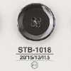 STB1018 Shell Shell 4-hole Button