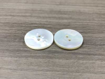 SW100 Shell Button IRIS Sub Photo