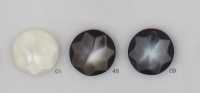 TY2067 Polyester Resin Buttons DAIYA BUTTON(DAIYA BUTTON) Sub Photo