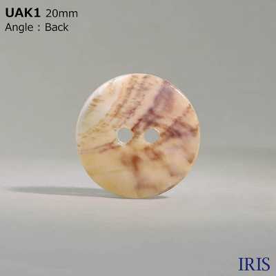 UAK1 Natural Material Shell Dyed Front Hole 2 Holes Glossy Button IRIS Sub Photo