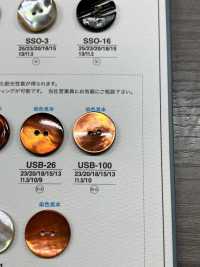 USB100 Natural Material Dyed Mother Of Pearl Shell 2 Front Holes Glossy Button IRIS Sub Photo