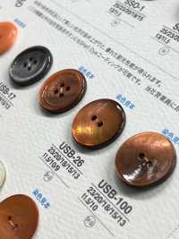 USB26 Natural Material Dyed Mother Of Pearl Shell 2 Front Holes Glossy Button IRIS Sub Photo