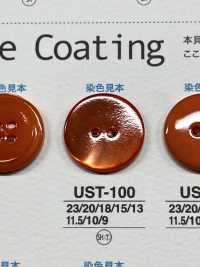 UST100 Natural Material Dyed 2 Shell Shell Shell Button IRIS Sub Photo