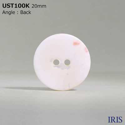 UST100K Natural Material Dyeing Front Hole 2 Shell Shell Shell Matte Button IRIS Sub Photo