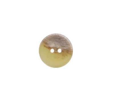 VT1001 Polyester Resin 2-hole Button