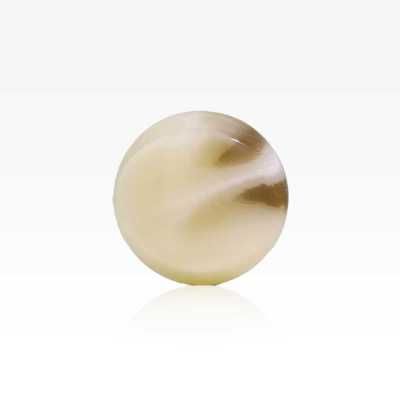 VT9810 Polyester Resin Tunnel Shank Button