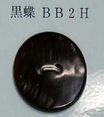 BB2H Two-hole Rimless Black Lip Shell Button