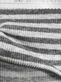 436 40/1 Tereko Horizontal Stripes & Lame[Textile / Fabric] VANCET Sub Photo