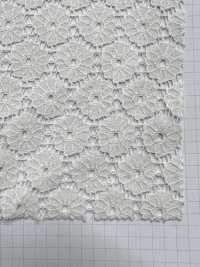 9902 Raschel Lace Dandelions VANCET Sub Photo