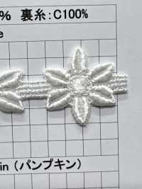 25097 Narrow Width Chemical Lace Kyowa Lace Sub Photo